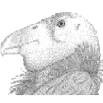 htcondor