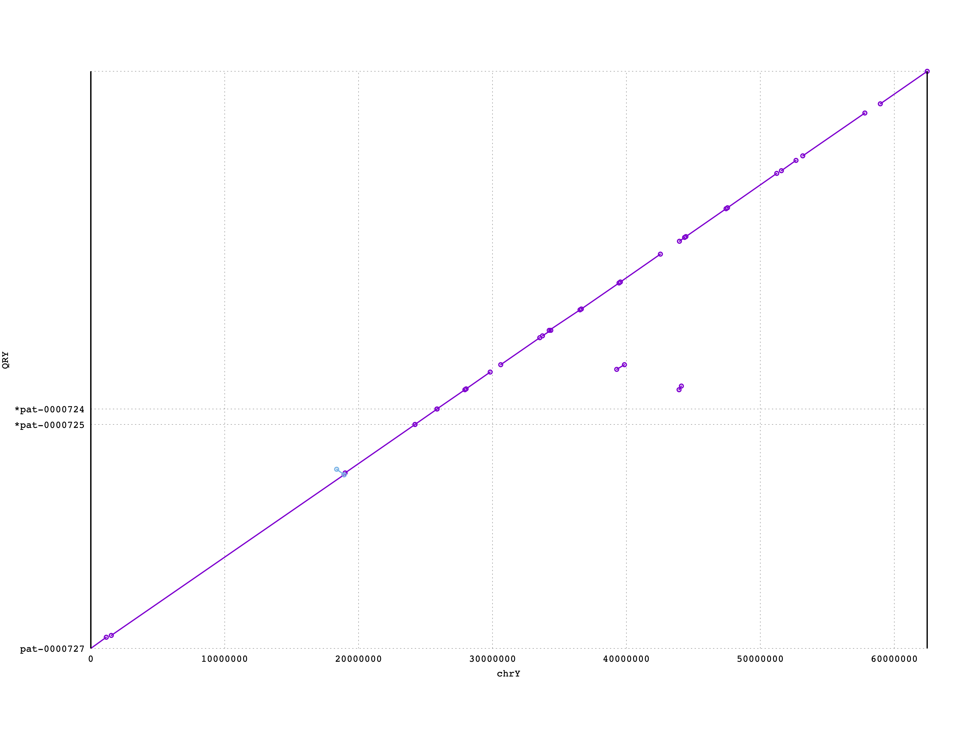 Dotplot of HG002 contigs against CHM13 chrY