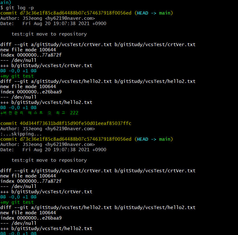 https://github.com/hy6219/TIL/blob/main/gitStudy/doItStudy/versionControl/git%20log%20-p.PNG?raw=true