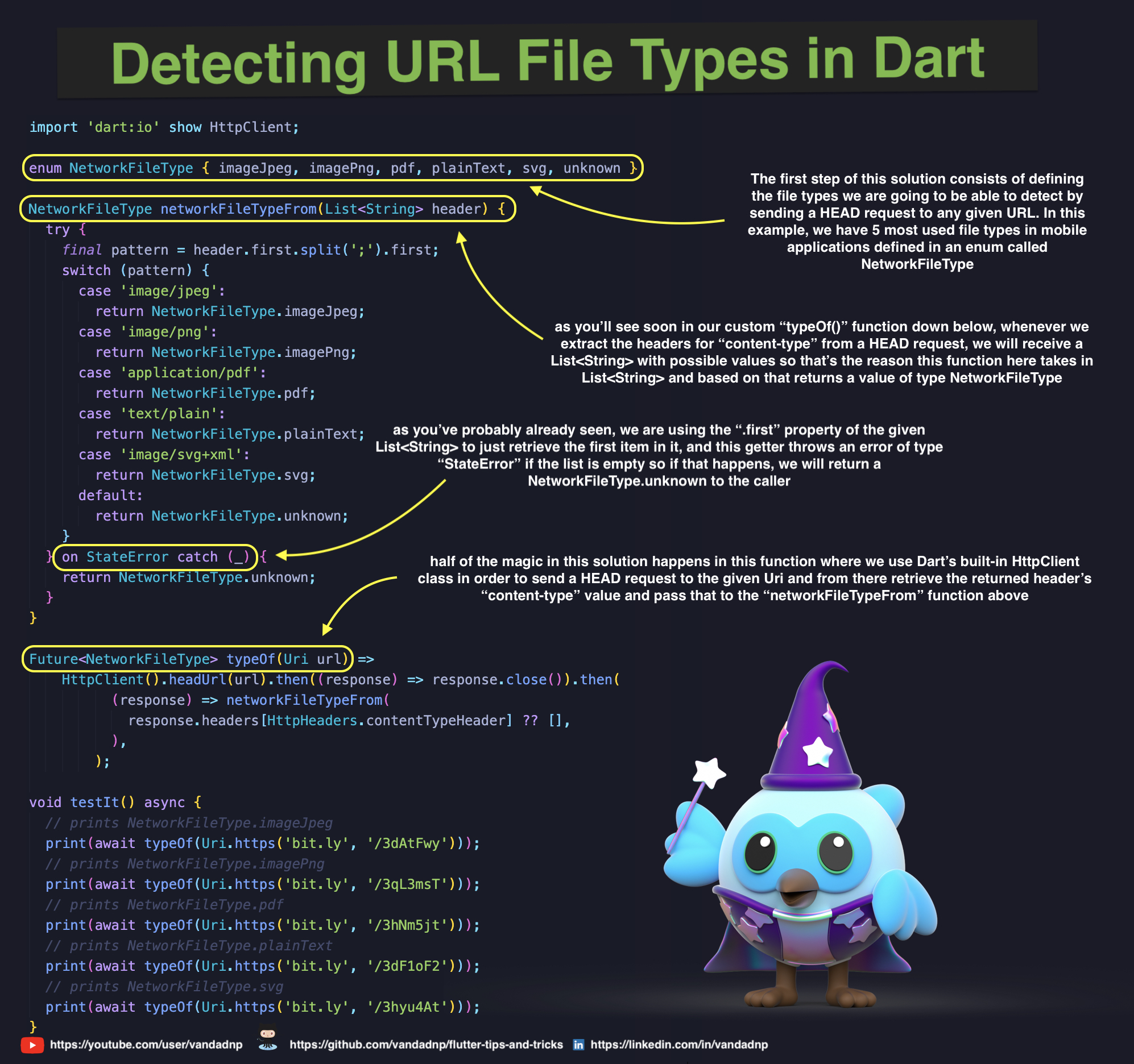 detecting-url-file-types-in-dart.jpg
