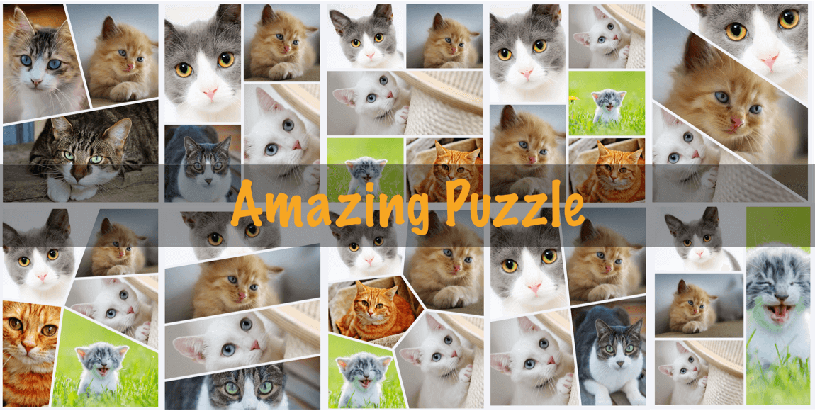 amazing_cat_puzzle.png