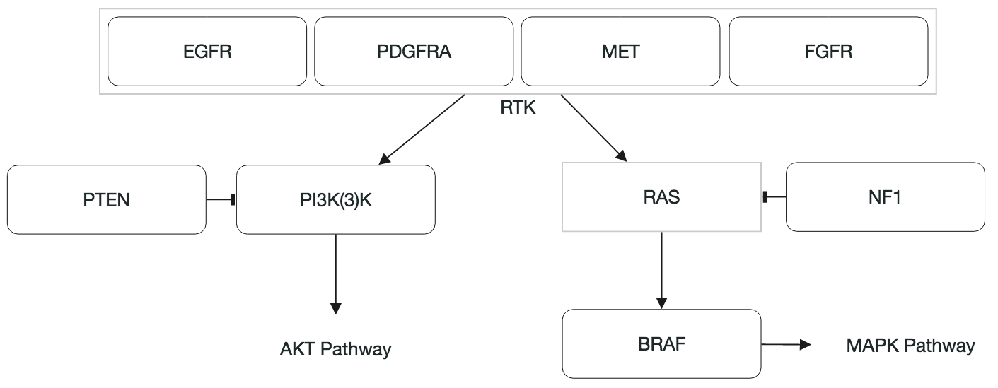 GBM-2013-RTK-RAS-PI(3)K-pathway.png