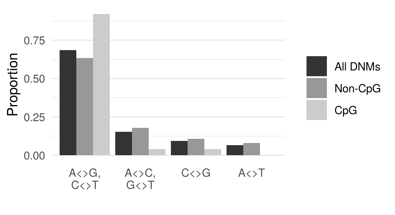Fig. 2. Most DNMs are transitions (A<>G, C<>T).