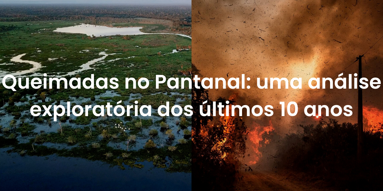 Imagem de capa de um incêndio no Pantanal.