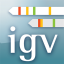 igvteam