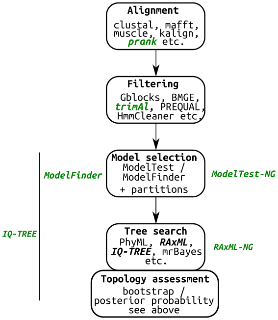 tree_building_overview.png