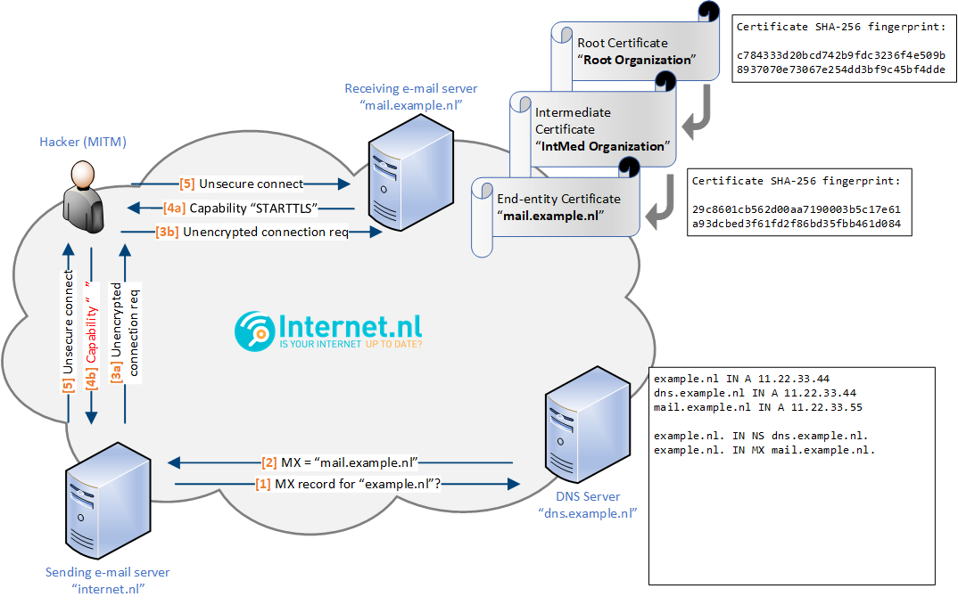 dane-example-1-striptls.png