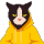 ivangzn