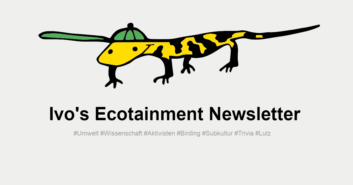 Ivos-Ecotainment-Newsletter_big.png