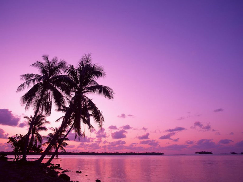 beach-sunset-purple.jpg