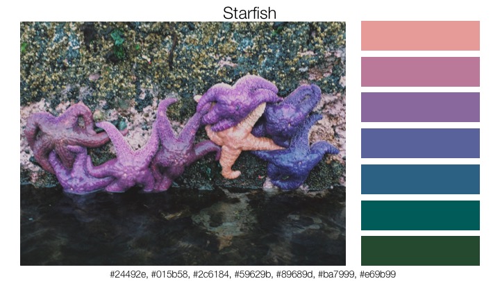 WAcolors.Starfish.jpg