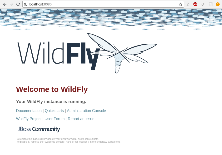 wildfly-home.png