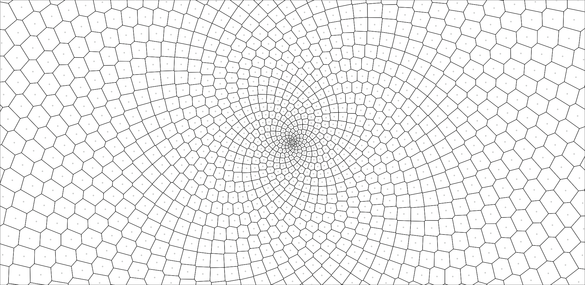 phyllotaxis.png