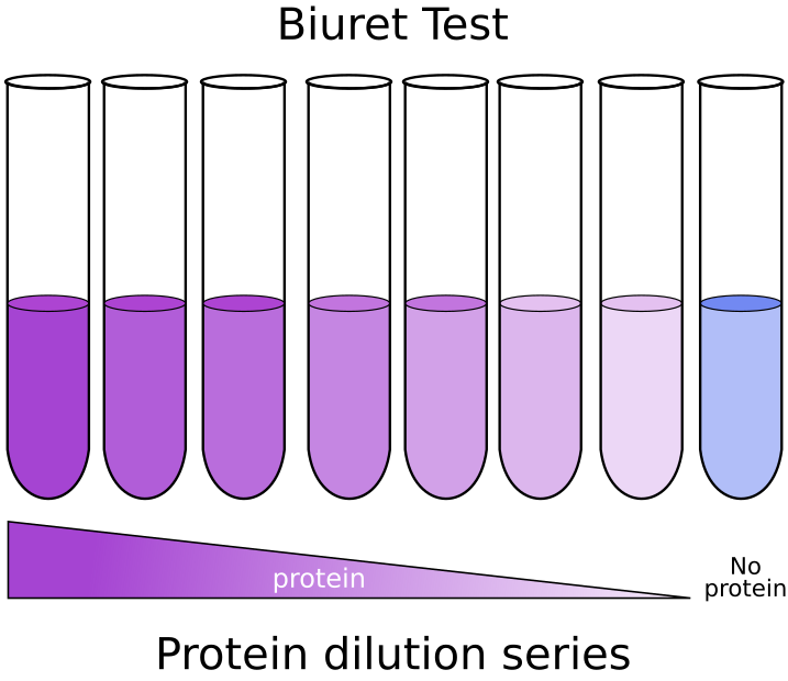 Biuret Dilution