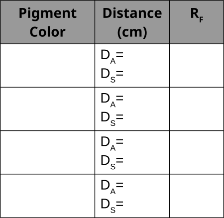 chromatography table