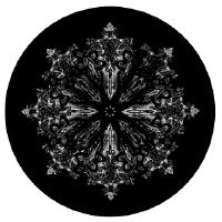 jhwinter