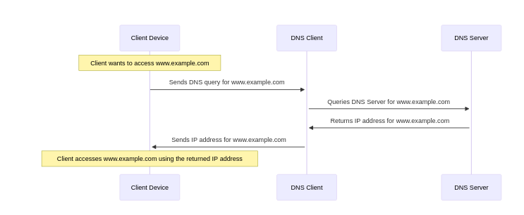 dns