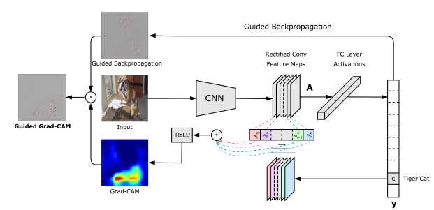 grad_cam.png