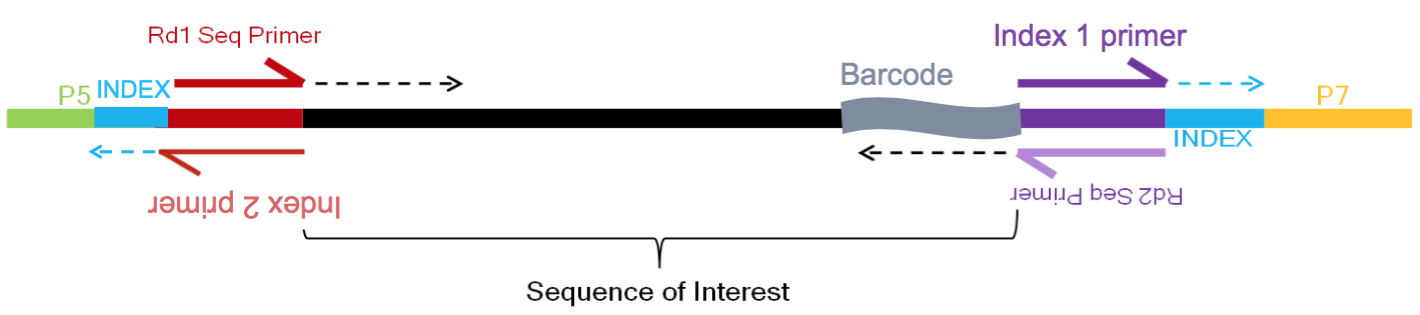 sc_seq_method.png