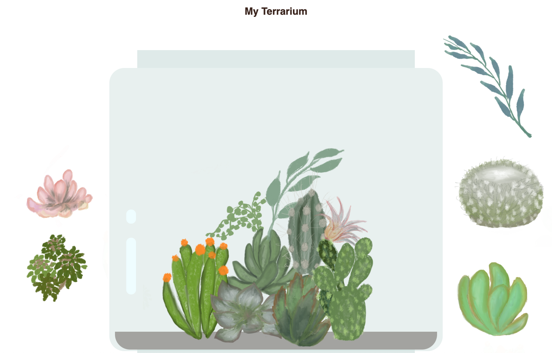 terrarium-final.png