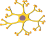 neuron48.png