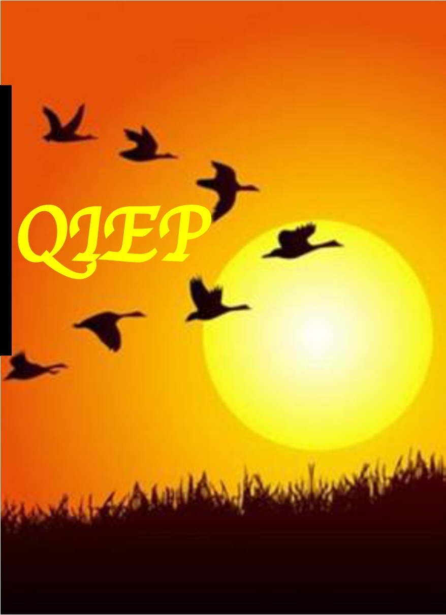 logo_qiep.jpg