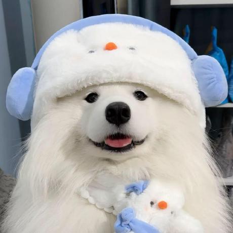 Logo of jonathanhu237