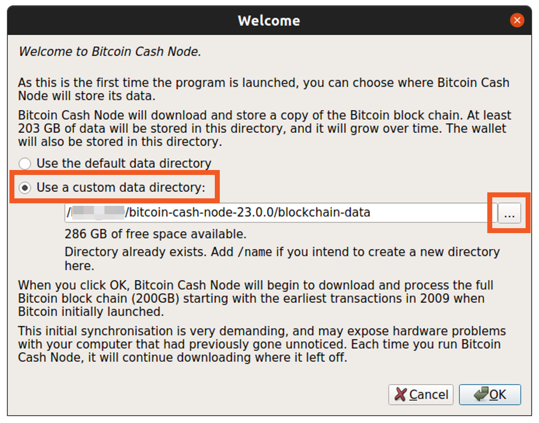 Bitcoin Cash Node welcome screen