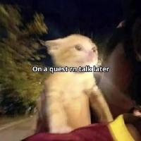 jsouto18