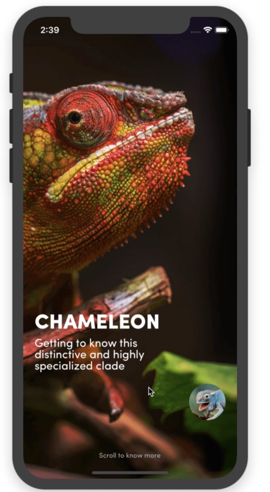 chameleon.png