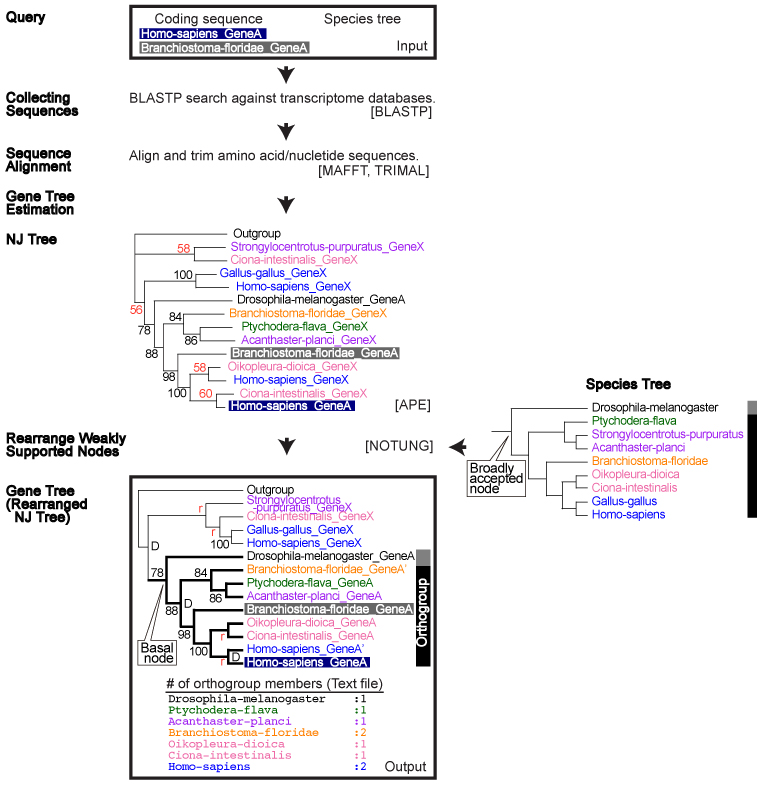 flowChart6.jpg