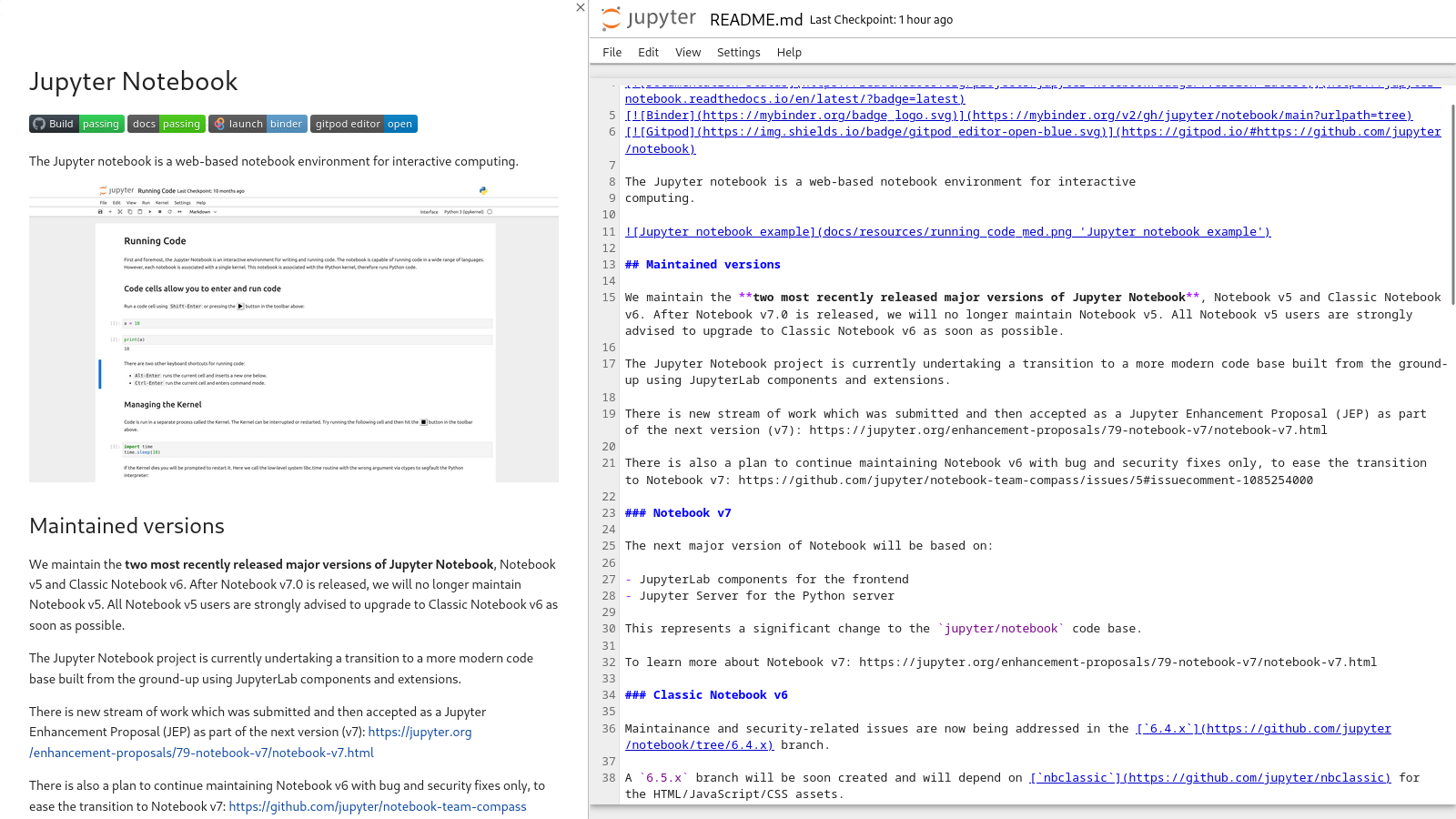a screenshot showing the markdown preview in Notebook 7