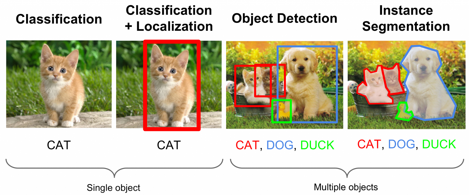 image-segmentation-cat.png