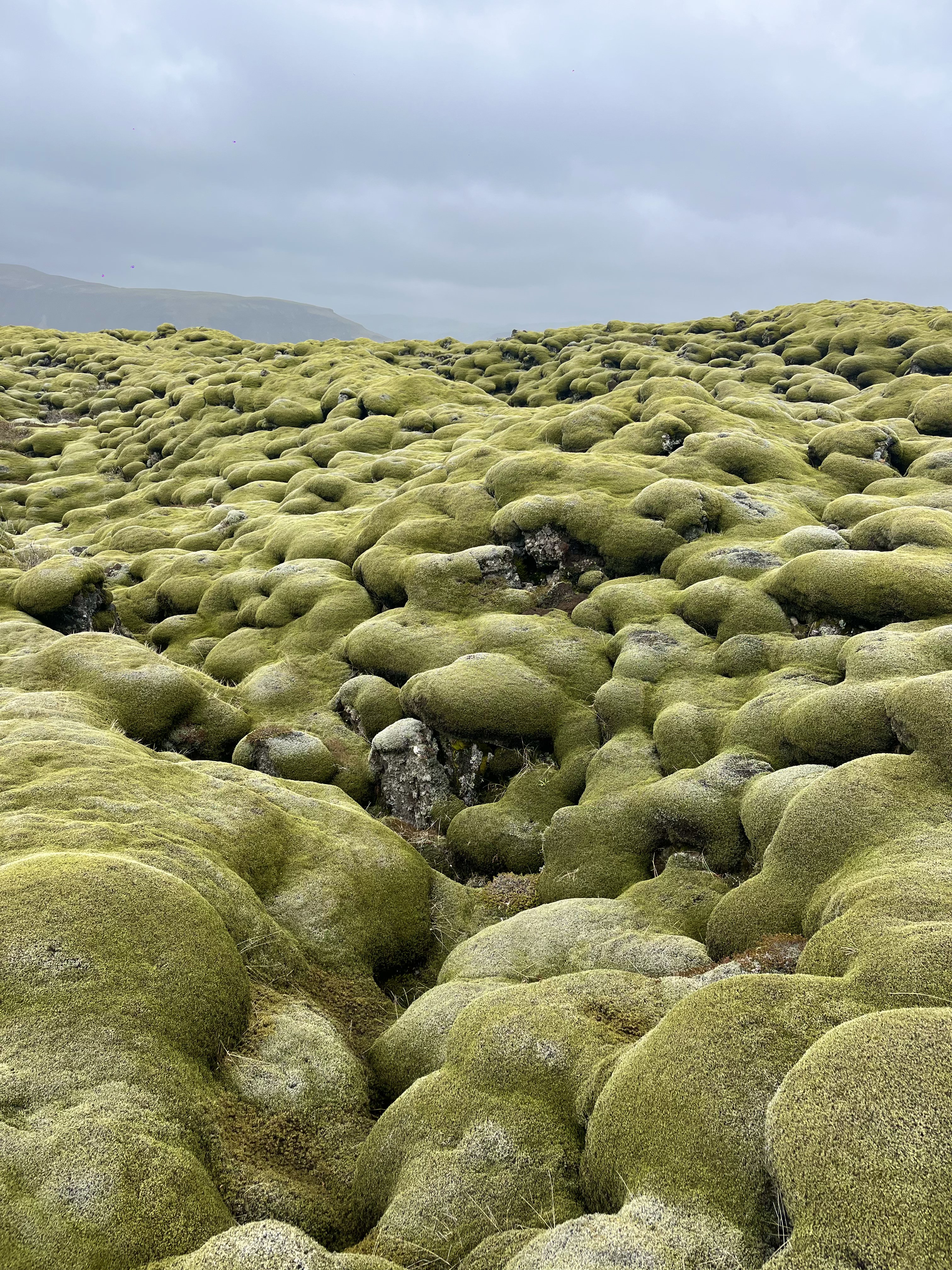 iceland.jpg