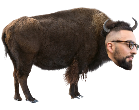 jz-bison.png