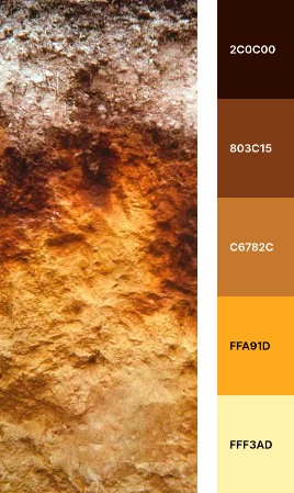 durorthod-palette.png