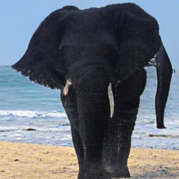 A large black elephant walking on the beach_5.png