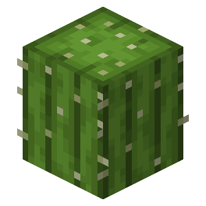 kaktu5