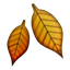 fallen_leaf.png