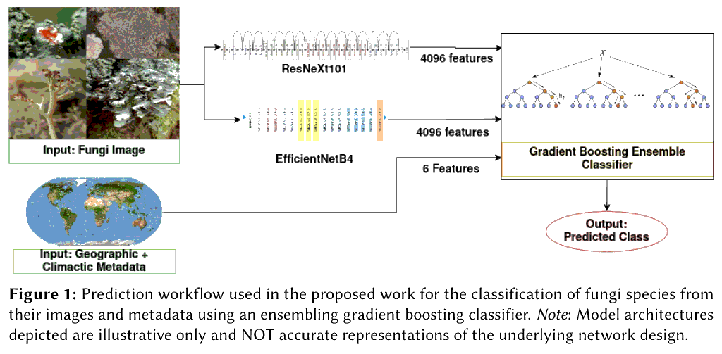 Figure-1_Prediction-Workflow.png