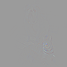0-resnet152-guided_gradcam-layer4-tiger_cat.png