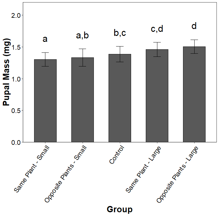 Rplot.png