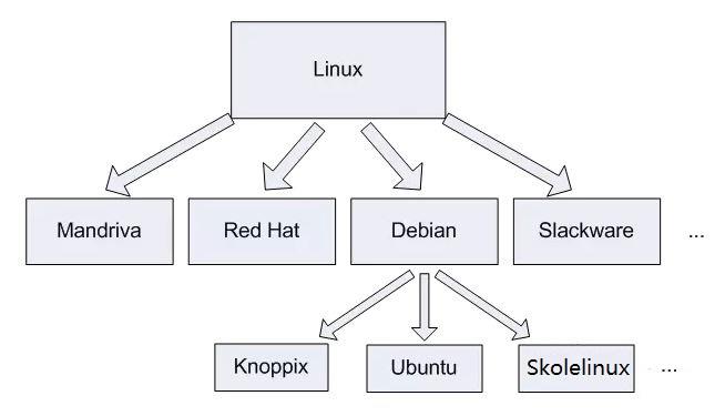 Linux分支