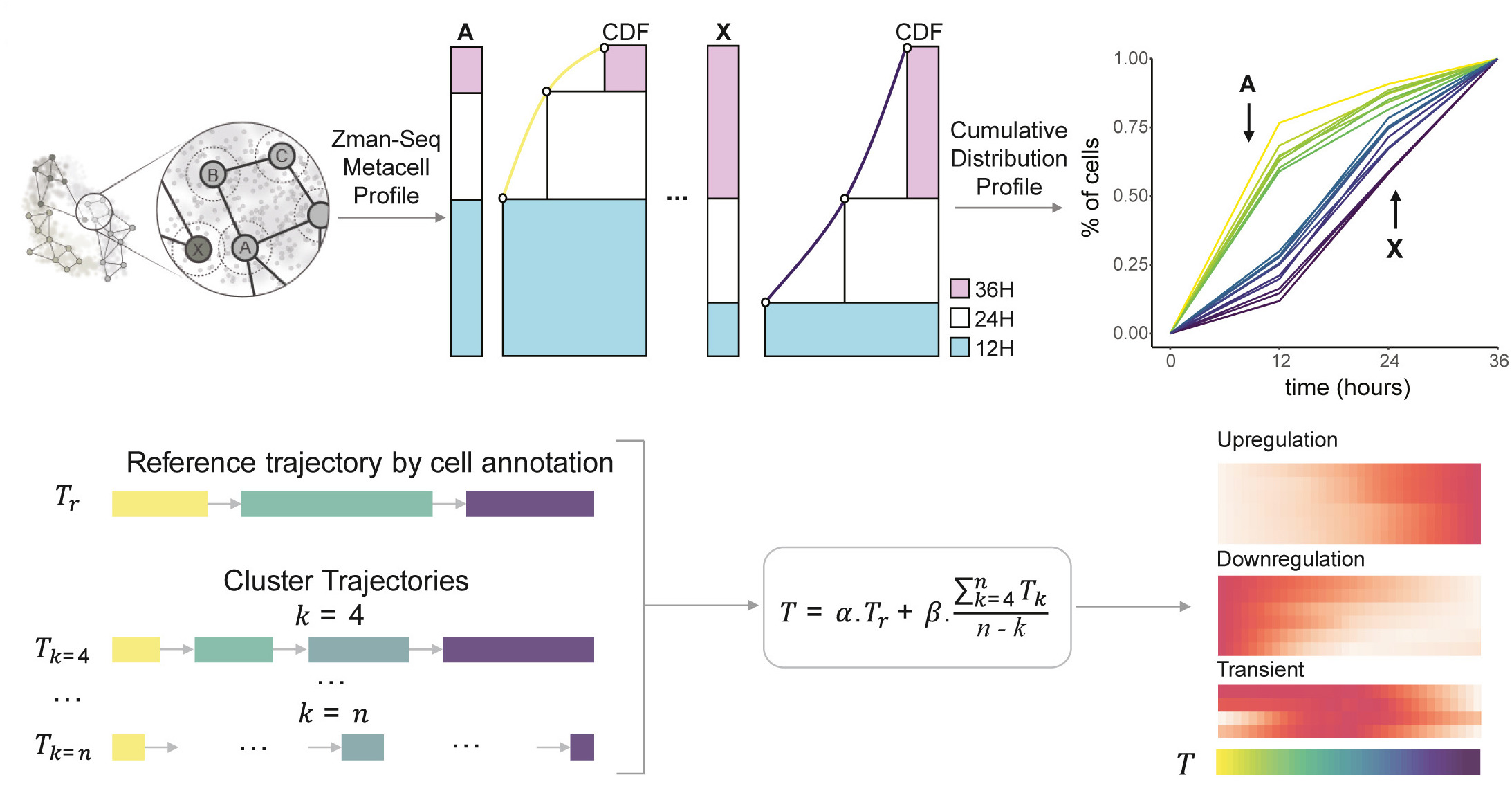 zmanr_schematic.jpg