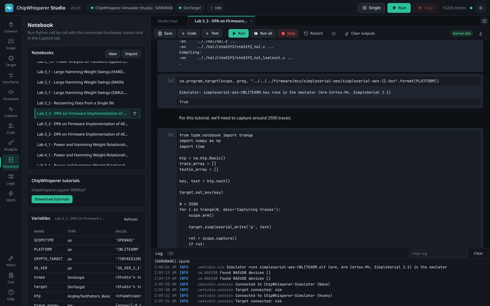 A NewAE tutorial notebook running in Studio