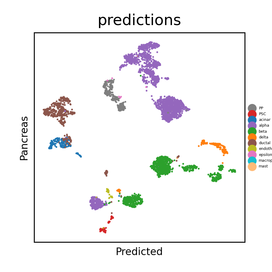 results_predicted.png