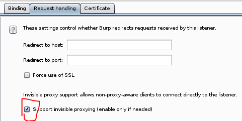 burpsuite80_proxy.png
