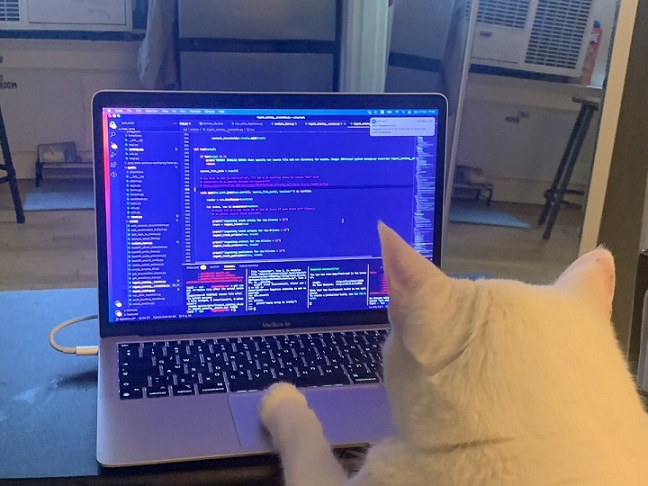 catWorking.jpg