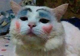 cat_w_makeup.jpeg