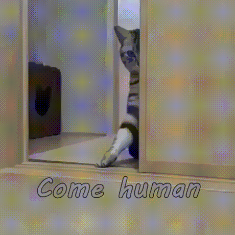 come_human.gif